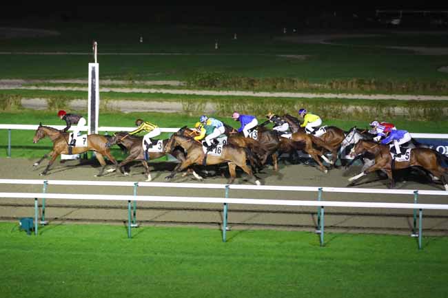 Photo d'arrivée de la course pmu PRIX DE CHERBOURG à DEAUVILLE le Vendredi 24 janvier 2025