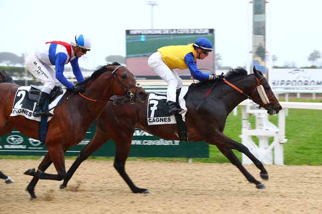 Photo d'arrivée de la course pmu PRIX DES ROMARINS à CAGNES-SUR-MER le Lundi 27 janvier 2025