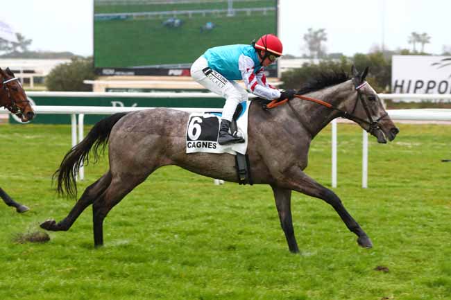 Photo d'arrivée de la course pmu PRIX SKY LAWYER à CAGNES-SUR-MER le Lundi 27 janvier 2025