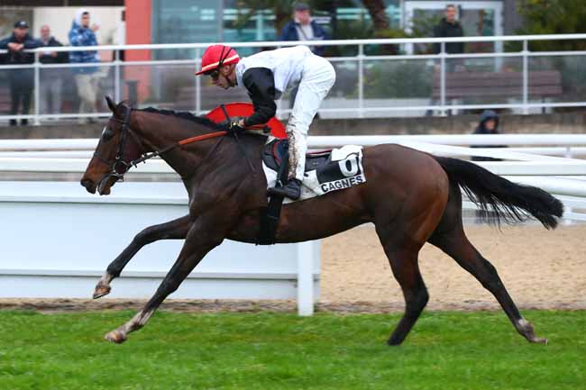 Photo d'arrivée de la course pmu PRIX DE MARSEILLE à CAGNES-SUR-MER le Lundi 27 janvier 2025