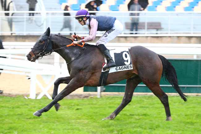 Photo d'arrivée de la course pmu PRIX DE LA CANEBIERE à CAGNES-SUR-MER le Lundi 27 janvier 2025