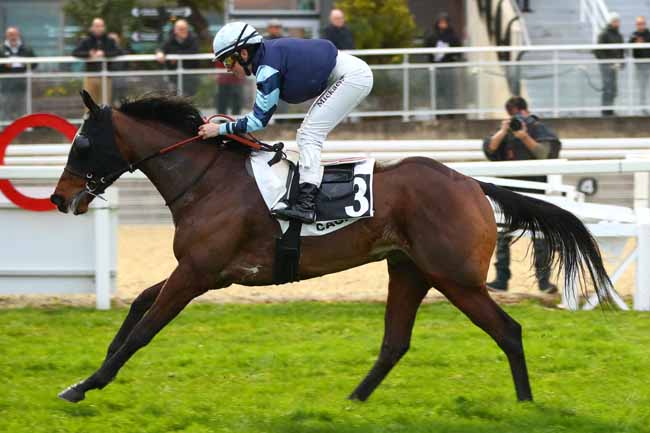 Photo d'arrivée de la course pmu PRIX YVES BACHELIER à CAGNES-SUR-MER le Lundi 27 janvier 2025