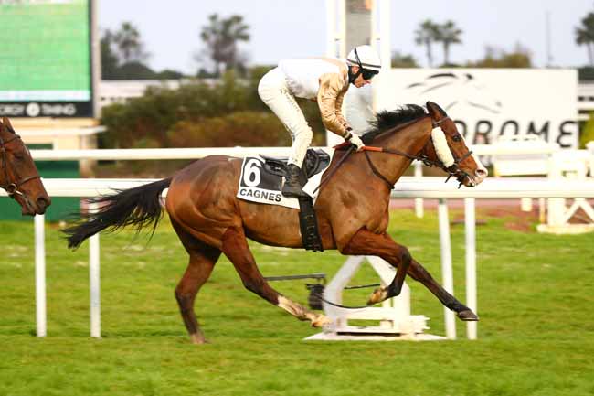 Photo d'arrivée de la course pmu PRIX DES GORGES DU LOUP à CAGNES-SUR-MER le Lundi 27 janvier 2025