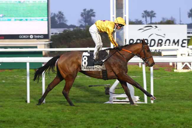 Photo d'arrivée de la course pmu PRIX DU SUD à CAGNES-SUR-MER le Lundi 27 janvier 2025