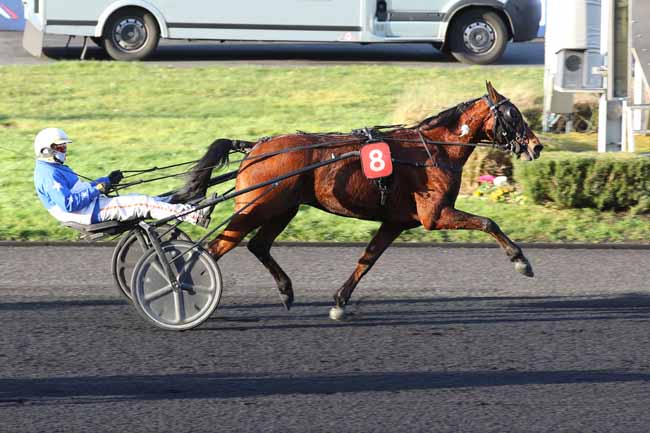 Photo d'arrivée de la course pmu PRIX DE CHATEAUGIRON à PARIS-VINCENNES le Mardi 28 janvier 2025