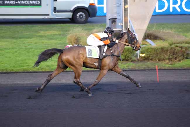 Photo d'arrivée de la course pmu PRIX DE FAVEROLLES à PARIS-VINCENNES le Mardi 28 janvier 2025