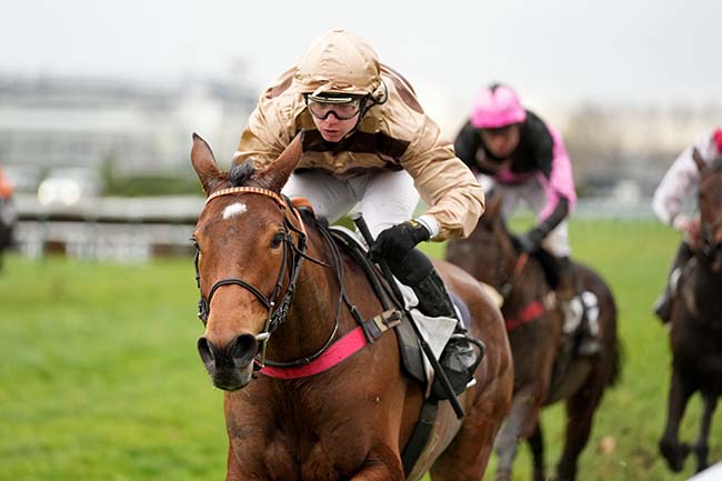 Photo d'arrivée de la course pmu PRIX DES AMBASSADEURS DU BEARN (PRIX LEON DARAN) à PAU le Mercredi 29 janvier 2025