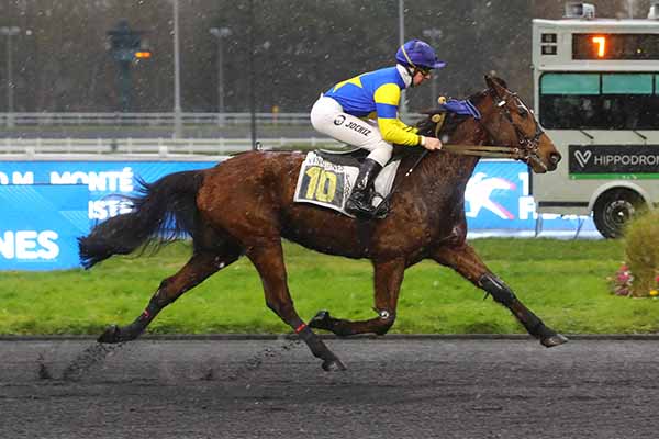 Photo d'arrivée de la course pmu PRIX DE LANNEMEZAN à PARIS-VINCENNES le Vendredi 31 janvier 2025