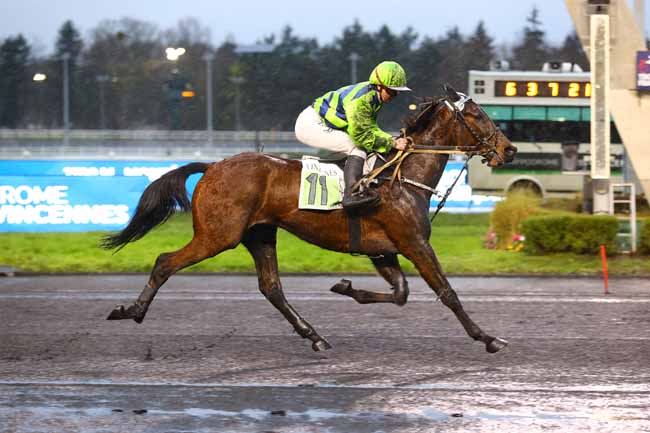 Photo d'arrivée de la course pmu PRIX DECIDEE à PARIS-VINCENNES le Vendredi 31 janvier 2025