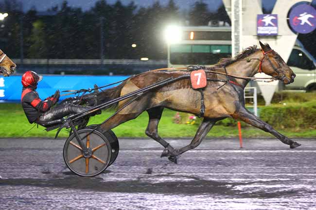 Photo d'arrivée de la course pmu PRIX DE MONTELIMAR à PARIS-VINCENNES le Vendredi 31 janvier 2025