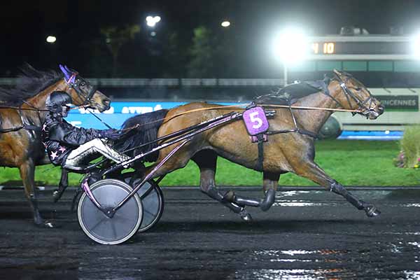 Photo d'arrivée de la course pmu PRIX DE COURTEMER à PARIS-VINCENNES le Vendredi 31 janvier 2025