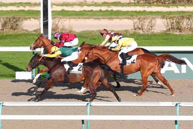 Photo d'arrivée de la course pmu PRIX DE BRANVILLE à DEAUVILLE le Samedi 1 février 2025