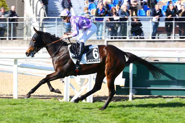 Photo d'arrivée de la course pmu PRIX DE GRASSE à CAGNES-SUR-MER le Lundi 3 février 2025