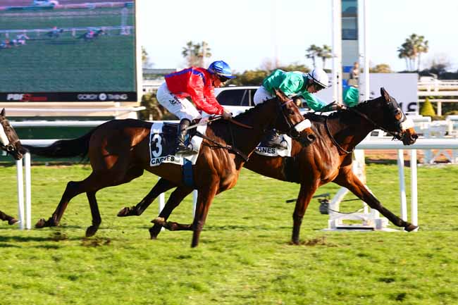 Photo d'arrivée de la course pmu PRIX MARILDO à CAGNES-SUR-MER le Mercredi 5 février 2025