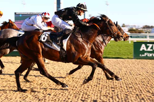 Photo d'arrivée de la course pmu PRIX DE CARPENTRAS à CAGNES-SUR-MER le Mercredi 5 février 2025