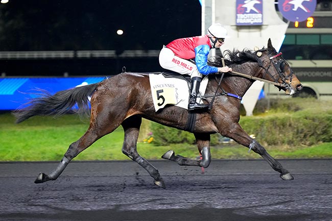 Photo d'arrivée de la course pmu PRIX ANDRE THERON à PARIS-VINCENNES le Vendredi 7 février 2025