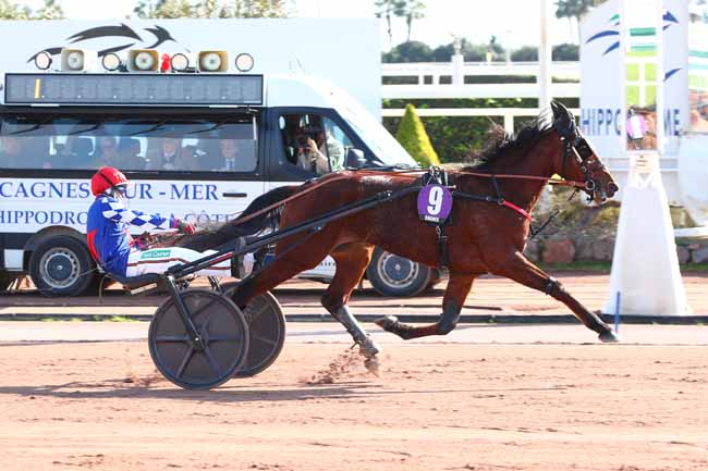 Photo d'arrivée de la course pmu PRIX ANDRE ROUZAUD à CAGNES-SUR-MER le Jeudi 13 février 2025