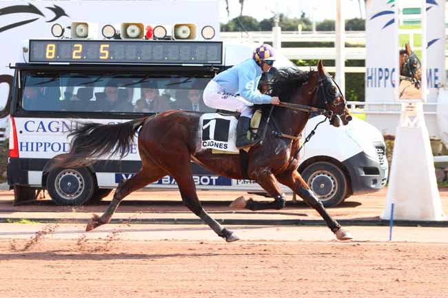 Photo d'arrivée de la course pmu PRIX SCARLET TURGOT à CAGNES-SUR-MER le Jeudi 13 février 2025