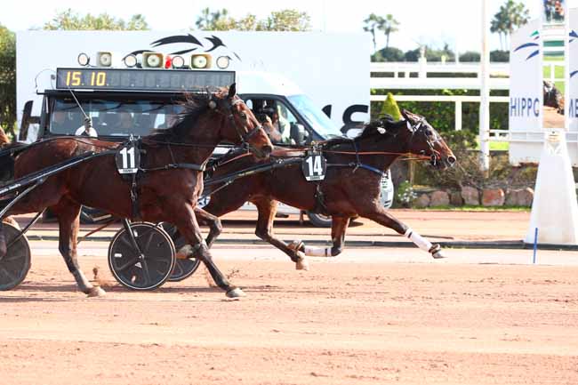 Photo d'arrivée de la course pmu PRIX JULES ROUCAYROL à CAGNES-SUR-MER le Jeudi 13 février 2025