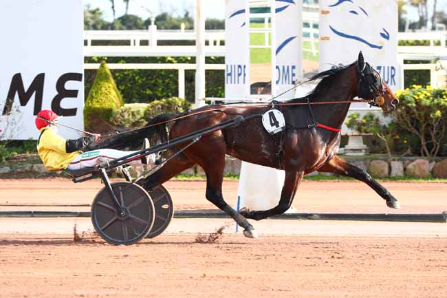 Photo d'arrivée de la course pmu PRIX HENRI CALLIER à CAGNES-SUR-MER le Jeudi 13 février 2025