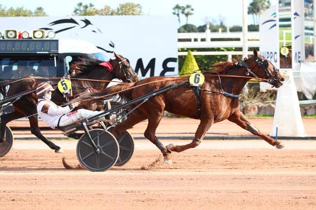 Photo d'arrivée de la course pmu PRIX DE PORTO à CAGNES-SUR-MER le Jeudi 13 février 2025