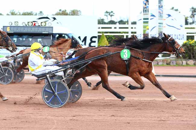 Photo d'arrivée de la course pmu PRIX DE LODEVE à CAGNES-SUR-MER le Jeudi 13 février 2025