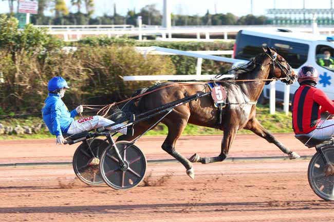 Photo d'arrivée de la course pmu PRIX DE GOLEGA à CAGNES-SUR-MER le Jeudi 13 février 2025