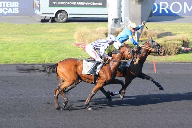 Photo d'arrivée de la course pmu PRIX DE ROMORANTIN à PARIS-VINCENNES le Lundi 17 février 2025