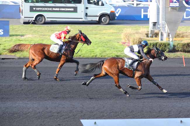 Photo d'arrivée de la course pmu PRIX DU TARN à PARIS-VINCENNES le Lundi 17 février 2025