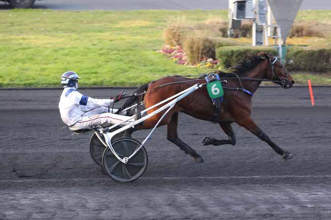 Photo d'arrivée de la course pmu PRIX DE CARHAIX à PARIS-VINCENNES le Lundi 17 février 2025