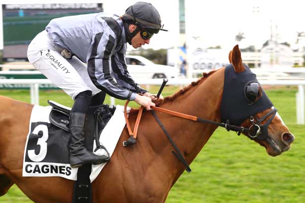 Photo d'arrivée de la course pmu PRIX DES CAMPANULES à CAGNES-SUR-MER le Mercredi 19 février 2025