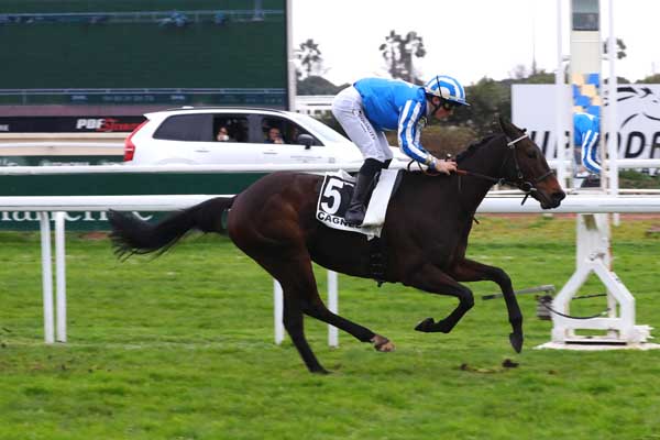 Photo d'arrivée de la course pmu PRIX DU CHEIRON à CAGNES-SUR-MER le Mercredi 19 février 2025