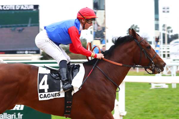 Photo d'arrivée de la course pmu PRIX DU QUEYRAS à CAGNES-SUR-MER le Mercredi 19 février 2025