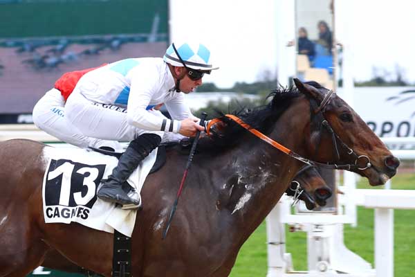 Photo d'arrivée de la course pmu PRIX DE LA NAPOULE à CAGNES-SUR-MER le Mercredi 19 février 2025