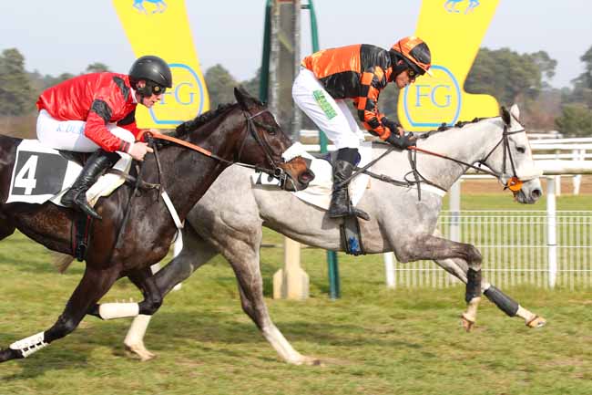 Photo d'arrivée de la course pmu PRIX COLONEL JEAN DE ROYER à FONTAINEBLEAU le Mercredi 19 février 2025