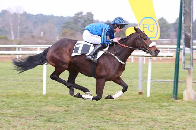 Photo d'arrivée de la course pmu PRIX DU CHATEAU DE FONTAINEBLEAU à FONTAINEBLEAU le Mercredi 19 février 2025