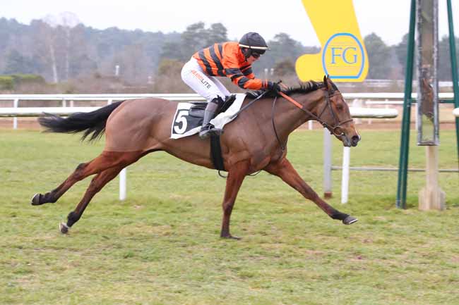 Photo d'arrivée de la course pmu PRIX GENERAL MARION à FONTAINEBLEAU le Mercredi 19 février 2025