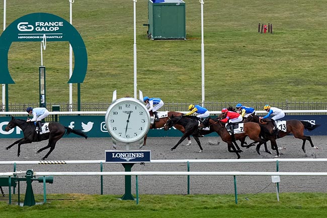 Photo d'arrivée de la course pmu PRIX DU CARREFOUR LAVERSIN à CHANTILLY le Jeudi 20 février 2025