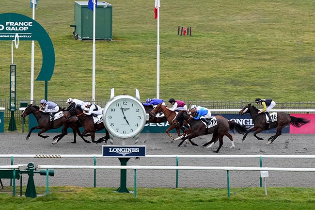 Photo d'arrivée de la course pmu PRIX DE LA ROUTE DU BLANC FOSSE à CHANTILLY le Vendredi 21 février 2025