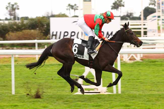 Arrivée quinté pmu PRIX DE L'HIPPODROME DE SETTAT (PRIX DU FORT CARRE) à CAGNES-SUR-MER