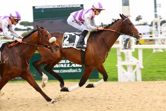 Photo d'arrivée de la course pmu PRIX DE LA SOREC (PRIX DES BOUTONS D'OR) à CAGNES-SUR-MER le Samedi 22 février 2025