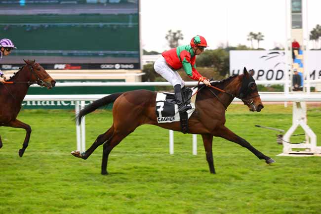 Photo d'arrivée de la course pmu PRIX DE L'HIPPODROME DE CASABLANCA (PRIX DU FORT VAUBAN) à CAGNES-SUR-MER le Samedi 22 février 2025