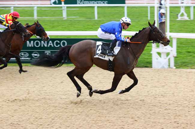 Arrivée quinté pmu PRIX DE L'HIPPODROME DE RABAT (PRIX JACQUES GELIOT) à CAGNES-SUR-MER