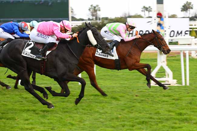 Arrivée quinté pmu PRIX DE L'HIPPODROME DE KHEMISSET (PRIX DE PARISLONGCHAMP) à CAGNES-SUR-MER