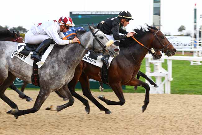 Arrivée quinté pmu PRIX DE L'HIPPODROME DE MEKNES (PRIX DES CIGALES) à CAGNES-SUR-MER