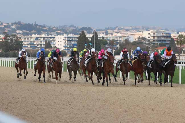 Photo d'arrivée de la course pmu PRIX DE L'HIPPODROME D'EL JADIDA (PRIX DE DIEPPE) à CAGNES-SUR-MER le Samedi 22 février 2025