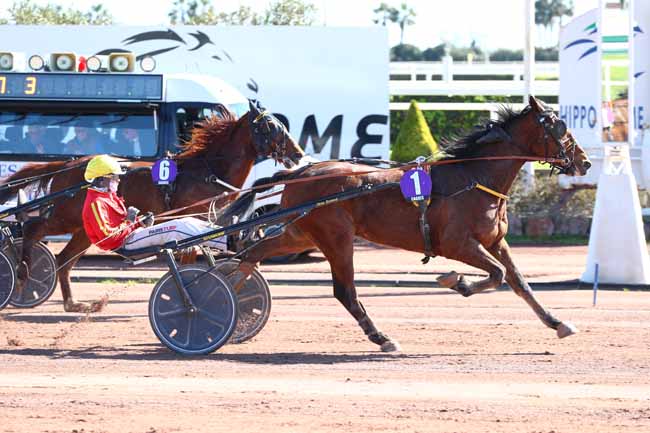 Photo d'arrivée de la course pmu PRIX MISTER LUCKEN à CAGNES-SUR-MER le Jeudi 27 février 2025