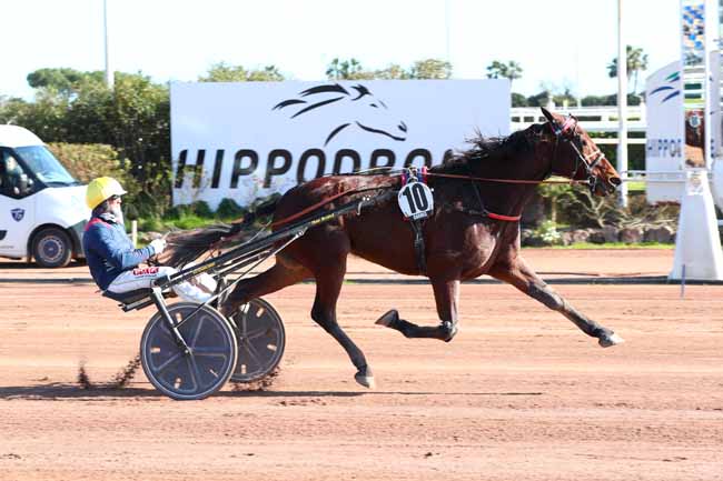 Photo d'arrivée de la course pmu PRIX DE LA NORMANDIE à CAGNES-SUR-MER le Jeudi 27 février 2025