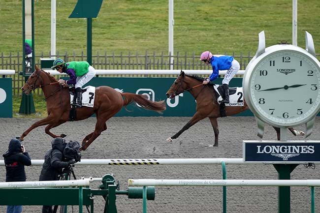 Photo d'arrivée de la course pmu PRIX DU PARC LAVERSIN à CHANTILLY le Vendredi 28 février 2025