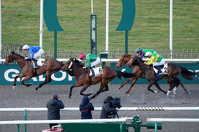 Photo d'arrivée de la course pmu PRIX DU CARREFOUR PAPILLON à CHANTILLY le Vendredi 28 février 2025